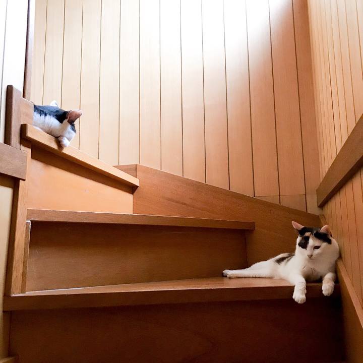 A86af461 a8cc 4f79 a041 942f99d4cda4 1534899162861