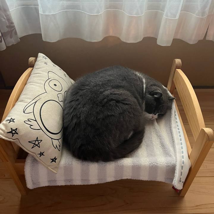 A86af656 cd16 45e8 8dec d5dc576ddfcb 1649416140170