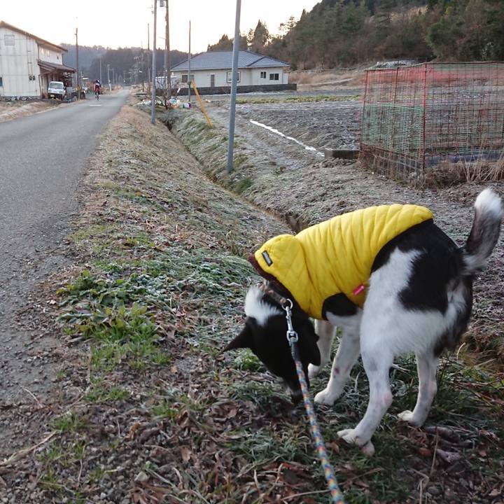 A86afa46 3428 400f a1a9 7e01f23fea79 1515711189488