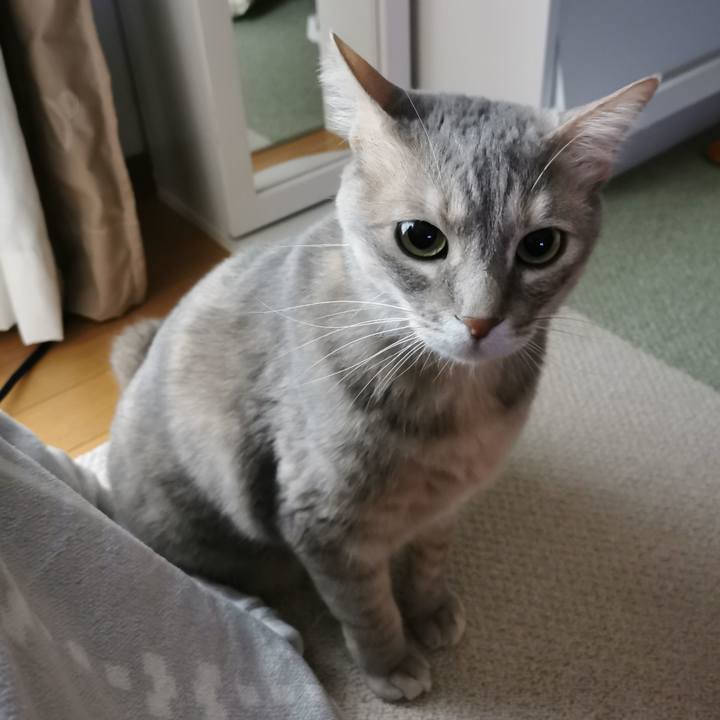 A86aff76 dfc4 442e ab4c 4d3bc8b16e13 1617524461871