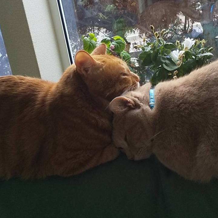 A86b09c9 8b04 41ad b205 4928ce363f5a 1634384394903