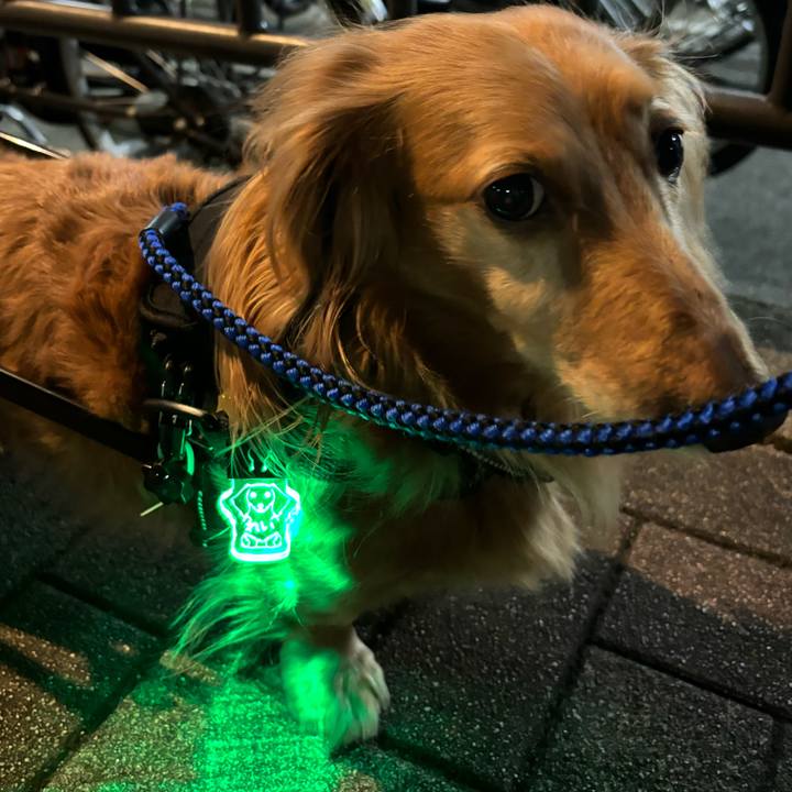 A86b4c8f 1d81 46be 99e6 46c2db76cbeb 1730114421962