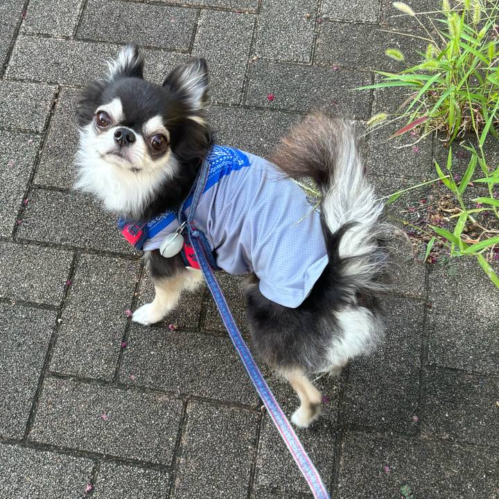 A86bb5c7 2485 4f99 9c26 c265bd04c91b 1726331197603