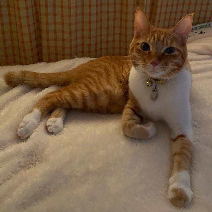 A86bc543 3830 45b0 8745 9b4e1583025b 1589008123409