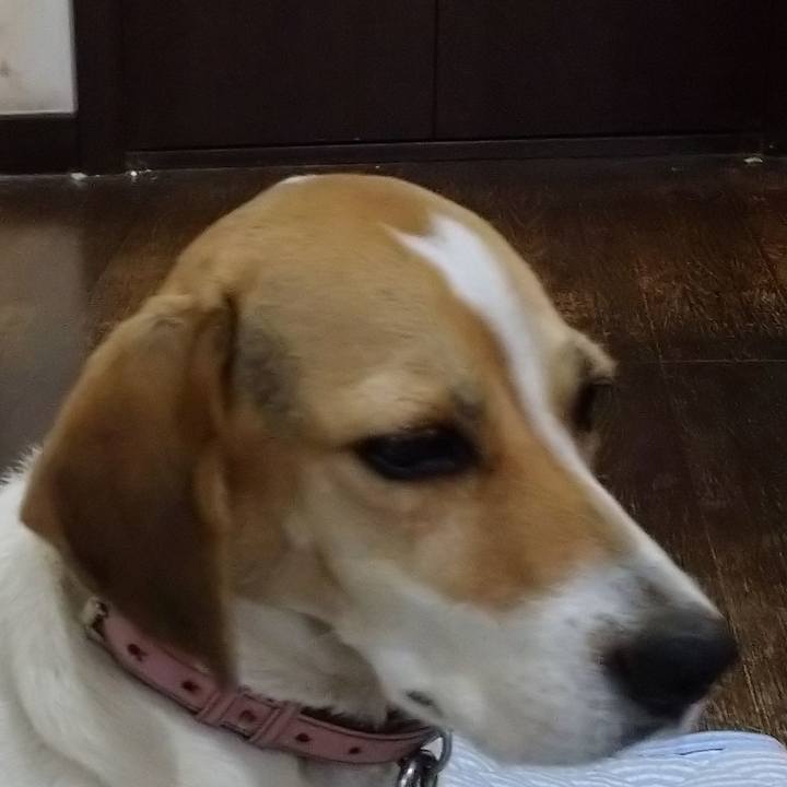 A86bcebe 04a4 4886 880f 34d4fe61860a 1602226467240