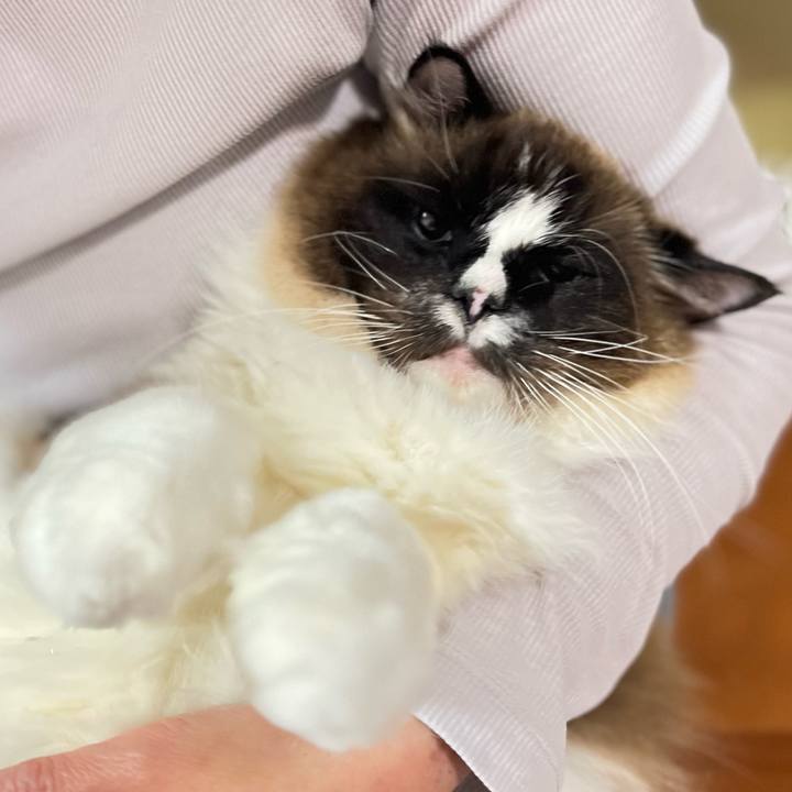 A86c1063 ac82 4503 aa4b 422260345827 1746619939624