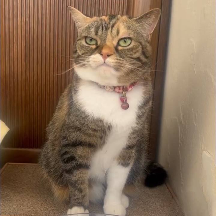 A86c27c6 d253 440b b3a8 517381ba65d0 1770348311265