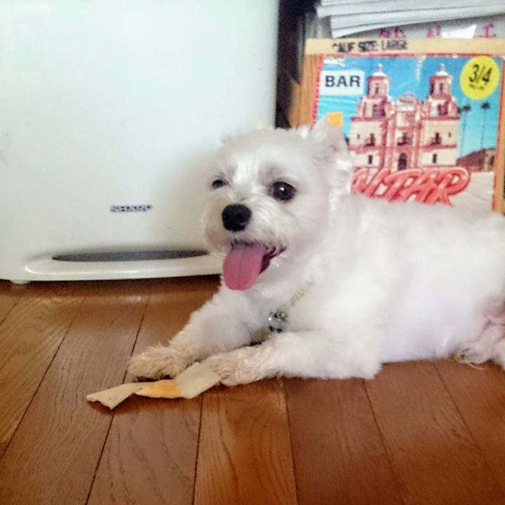 A86c5dff 961e 4aa1 b9d1 44478d3dffc2 1530185133185