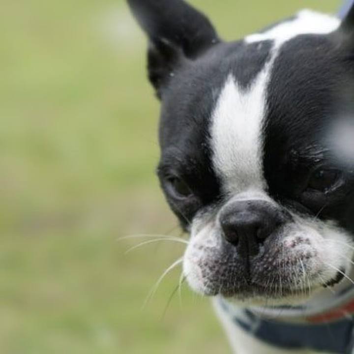 A86c5fe0 86b5 4b63 9e09 cc69bc290484 1528720796748