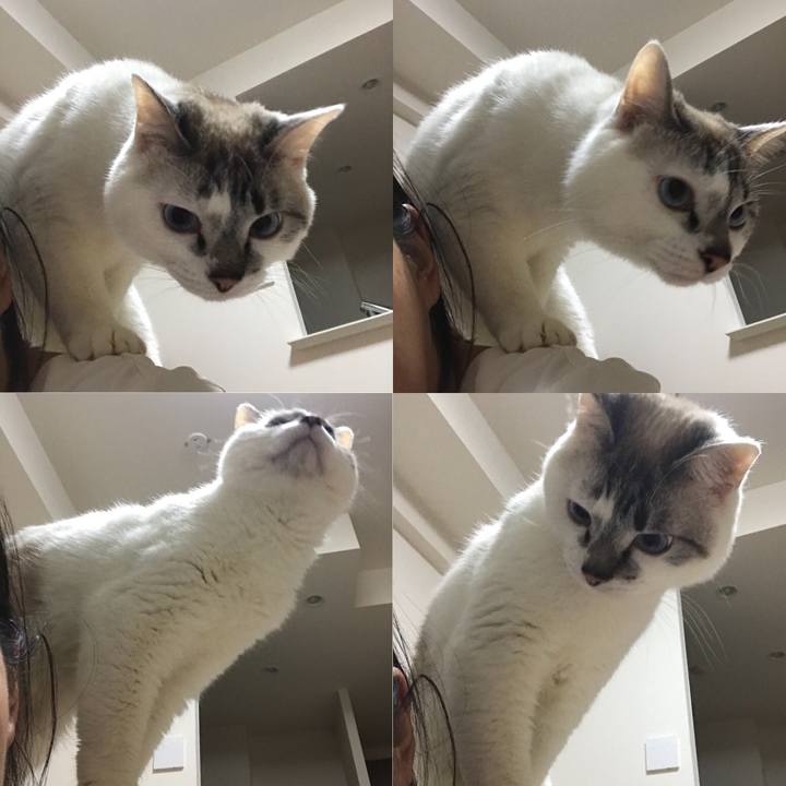 A86c95e6 c1b7 4221 a1fe f56fad70c0a5 1521805021282