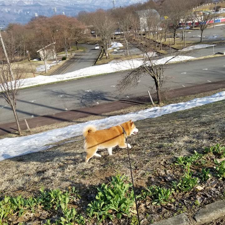 A86ce0b6 f918 4f7f a230 598823a12a15 1649754262380