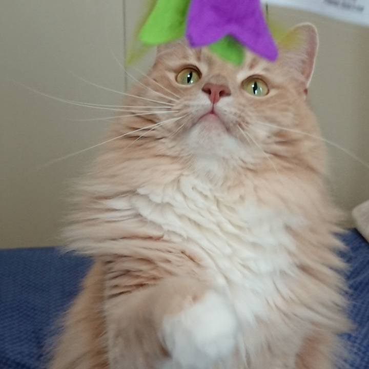 A86d1b05 9d5e 4552 8a10 c84665869467 1529546013238