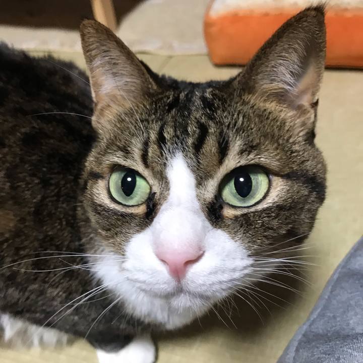 A86d389b 9ddb 410a aab8 93e713323339 1544864434639