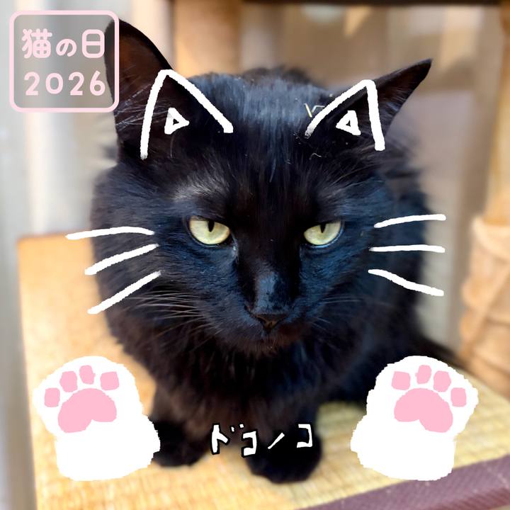 A86d4566 bb76 4533 9c26 c4e1e69f76f4 1771741457315