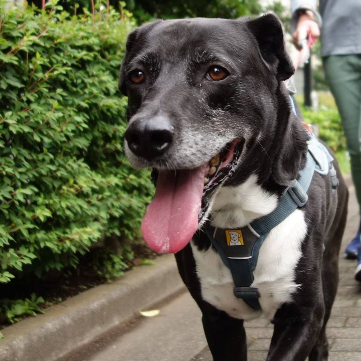 A86da6c0 5238 4bef b15a 80dd5e83e7ed 1716337825338