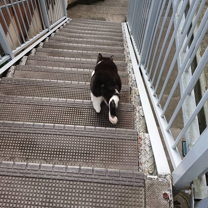 A86e1b9d ebe7 4c8a a592 bf37cf4b7c8d 1600125614559