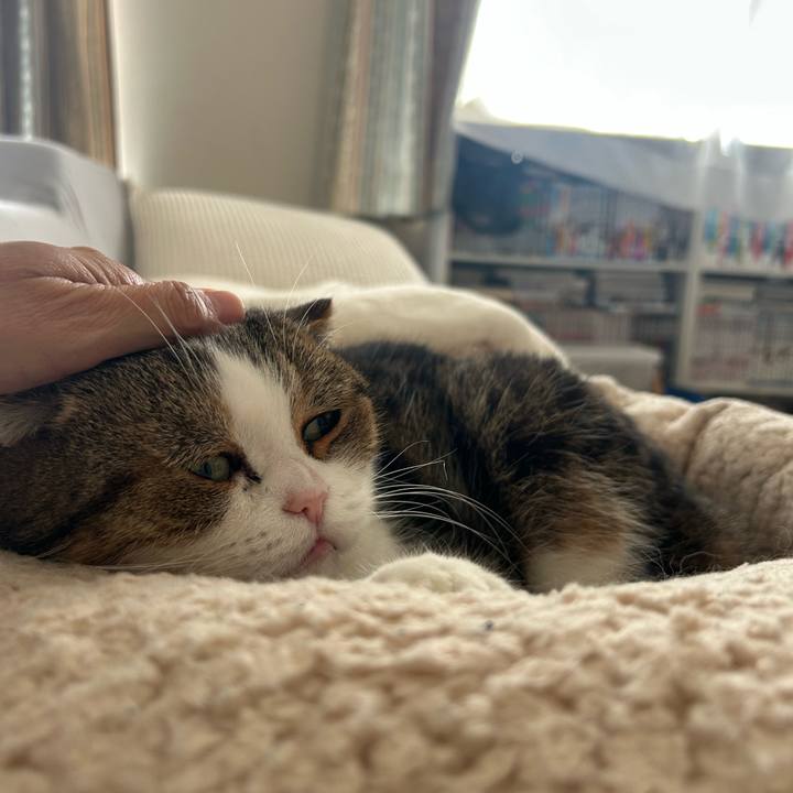 A86e3c53 7323 4630 a0d5 b7fb64a0a92a 1762136285203