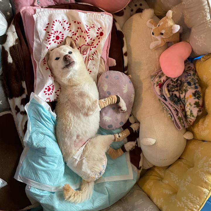 A86e6117 0be2 4131 936c bfd1596052b1 1679363732465