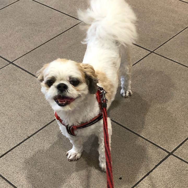 A86e921f 641d 470f a20c 82c94e5aa165 1593467276608