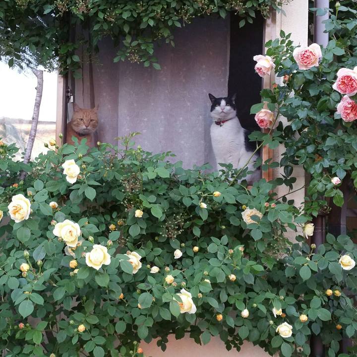 A86f0473 ef4b 4878 9267 595baf516cd5 1527302135973