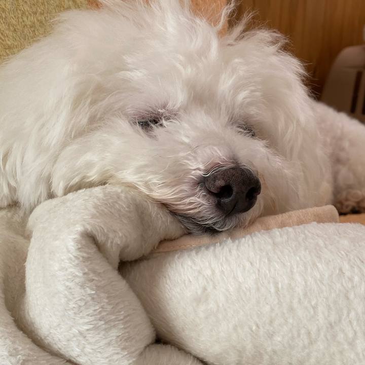 A86fb654 6f43 436f afd5 f73894c5d71f 1635725409041