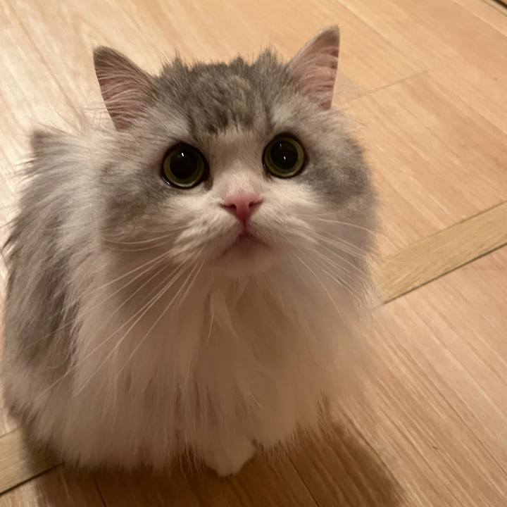 A86fbe69 4c5d 4083 a4e0 4c0c8a2698bd 1734788348791