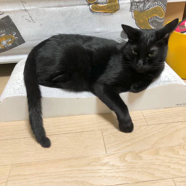 A86fc23f 7899 4311 8981 111dd8e75d5b 1631882315073