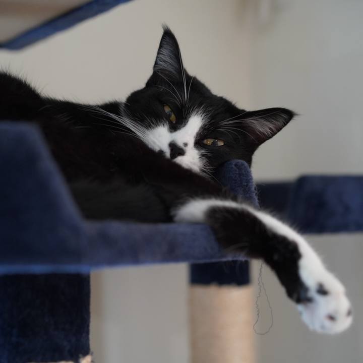 A86fc24b 2632 4d80 b06d fb7586211f5b 1627913367195