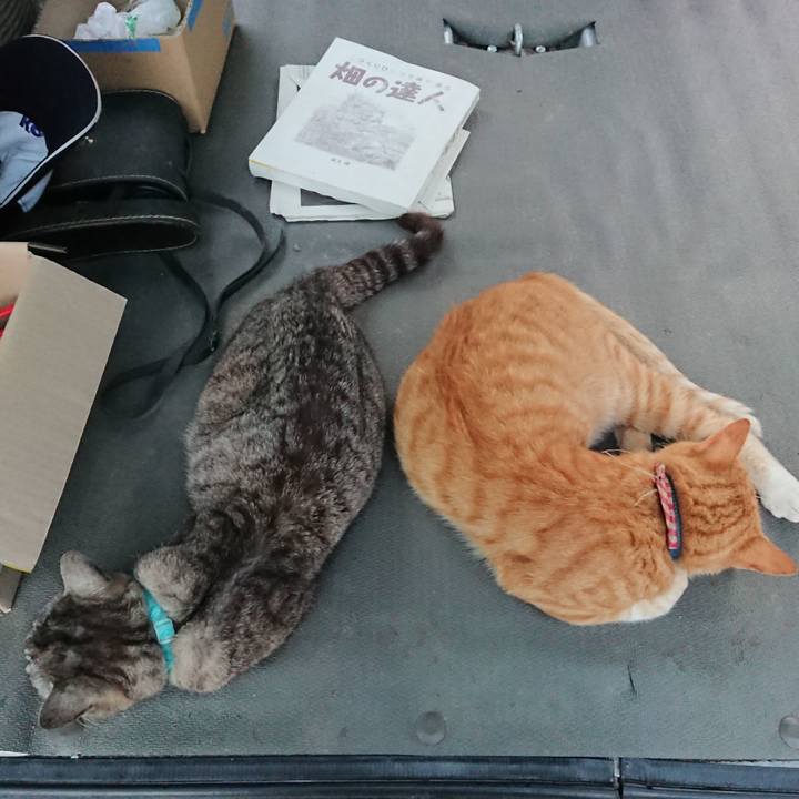 A86fd823 a466 40ce 9b8d 0387efe81a67 1564308745664