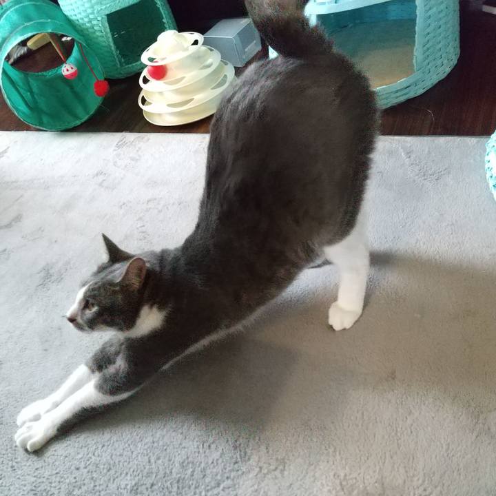 A86feaf2 f2df 4197 b8be 59a19a8c8e3e 1622077433404