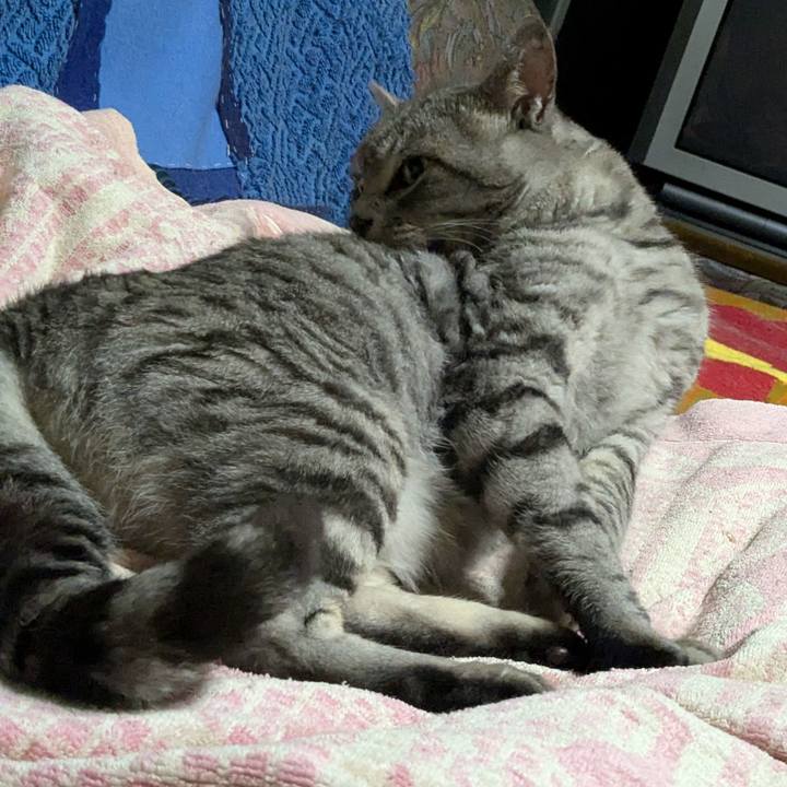 A86ff11c e5ec 4e9f a3e7 db8a026d860b 1723215374804