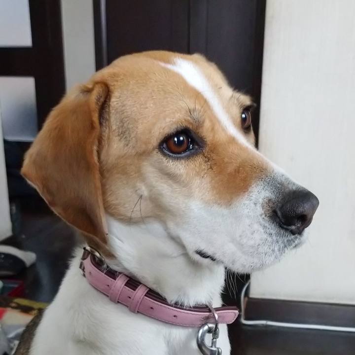 A8700858 daf6 413b b854 1ac7567452e0 1643984153057