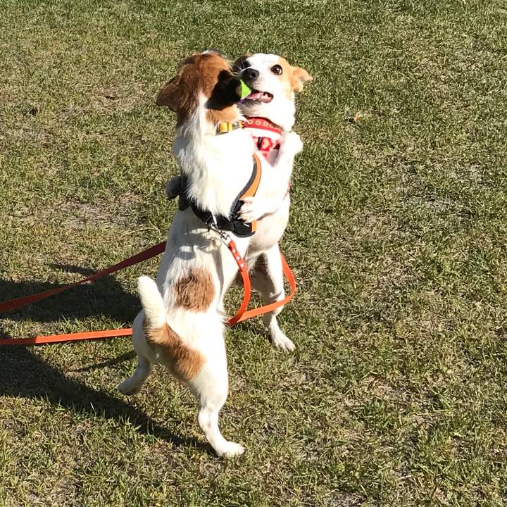 A87094e7 34c1 47e9 83ad 8de4a0731948 1588381957134