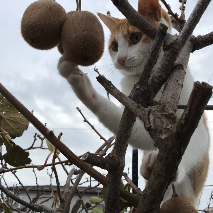 A870b745 d4fb 45d6 8ca0 03ab741e0604 1509768964117