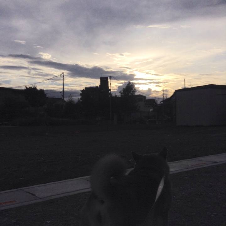 A870d531 7bd2 4700 94d5 049083288ff1 1534336750193