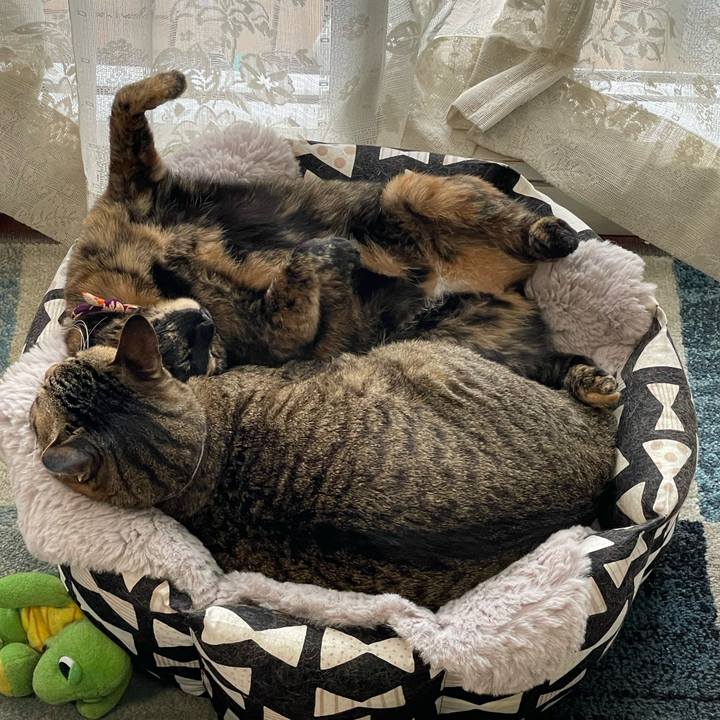 A8710578 c7de 48ef aa81 a5388ea39683 1739106973445