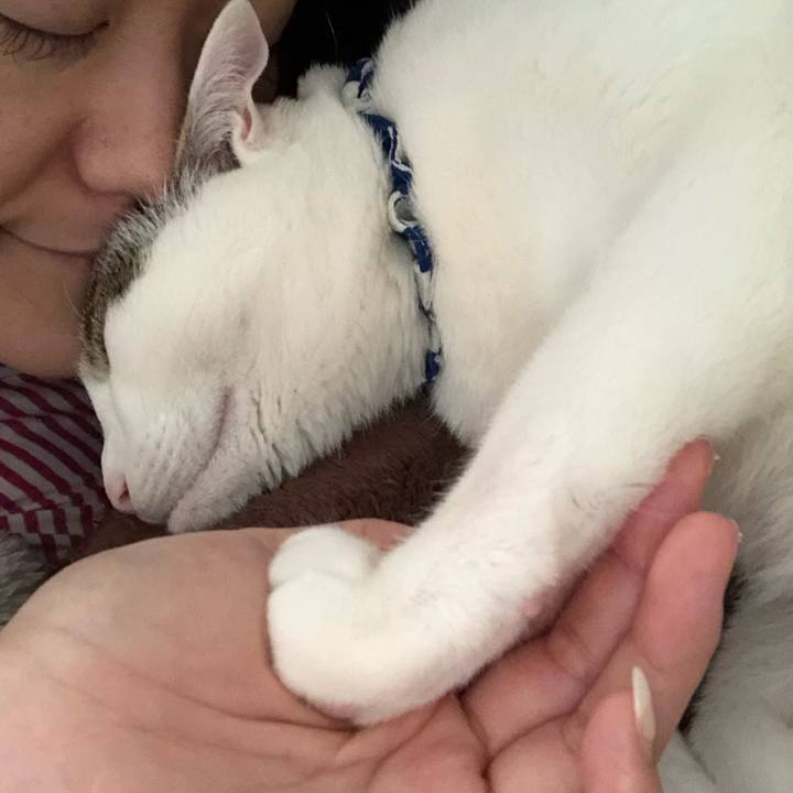 A87108d7 329f 432d a3cc 2051a4434315 1588508149252