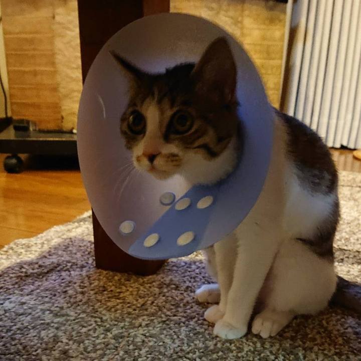 A8711bd3 b8ba 482d a1ec e94acb0d7202 1550462624323