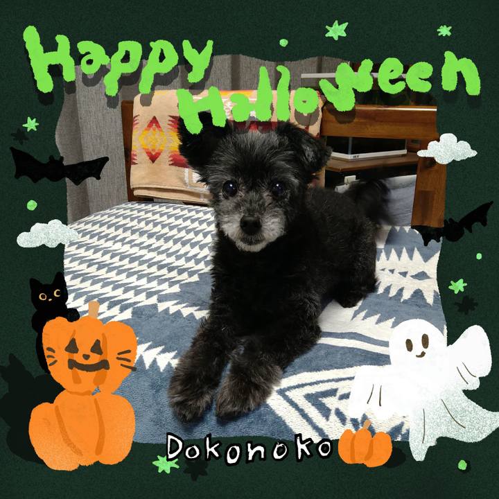 A8713123 e5b5 4804 bc72 a2ff6e2a5e4d 1729509030338