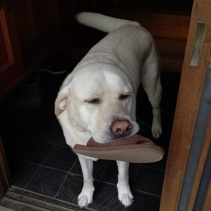 A8713443 c582 40bd bb6f a78b7722afe1 1593412621072