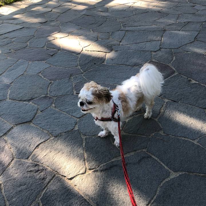 A871438a 40e7 441d 9099 01097d48aa10 1628027353487