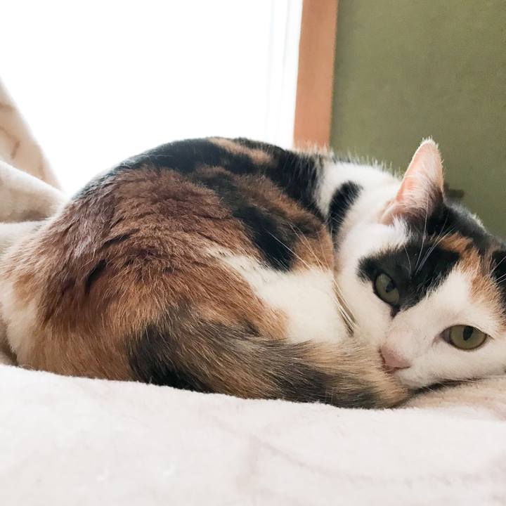 A8719999 2266 4529 9cfe 2914c4a6f230 1523889113635