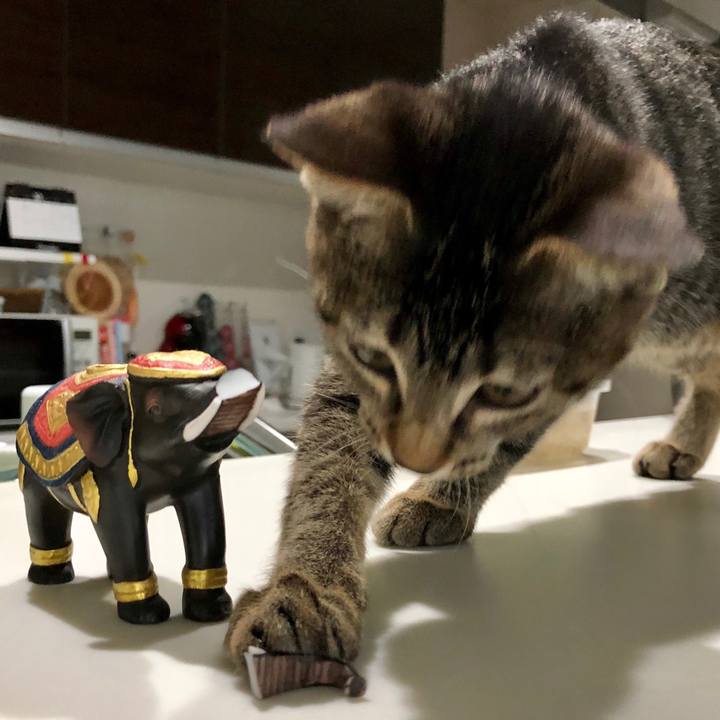 A871a09d f91b 4340 bf72 539cc2839be3 1507935743595