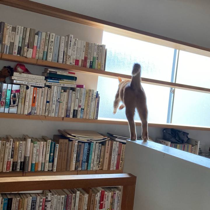 A8721a4c 45df 4787 afb6 7ddc954bf80c 1630222733104