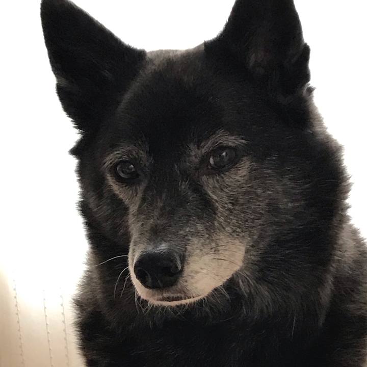 A8721d14 ef4c 4498 994c 50429e813796 1550238943906