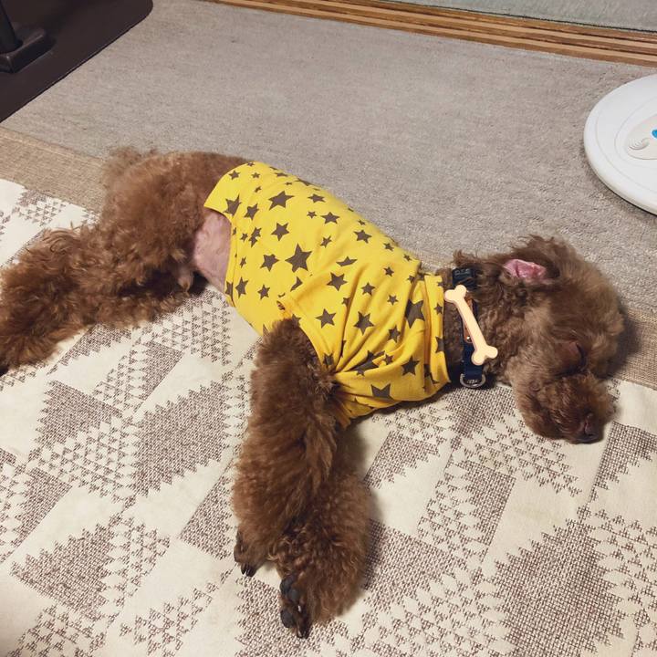 A872c177 d736 4602 8b81 7d64ac582ba5 1563797871190