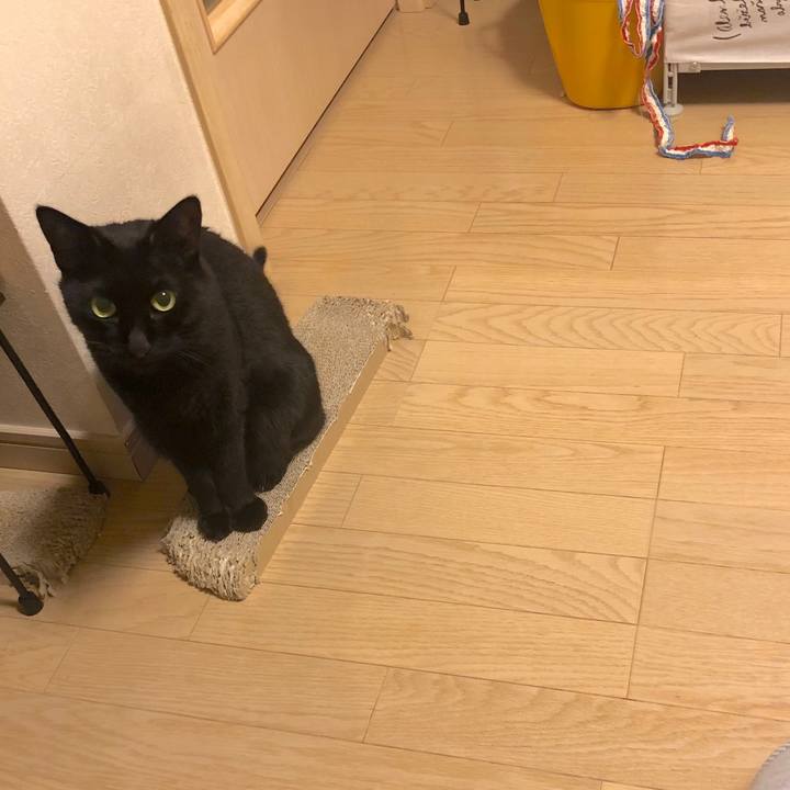 A873053d 8302 4fe7 953e 4da2caee57e8 1547988285081