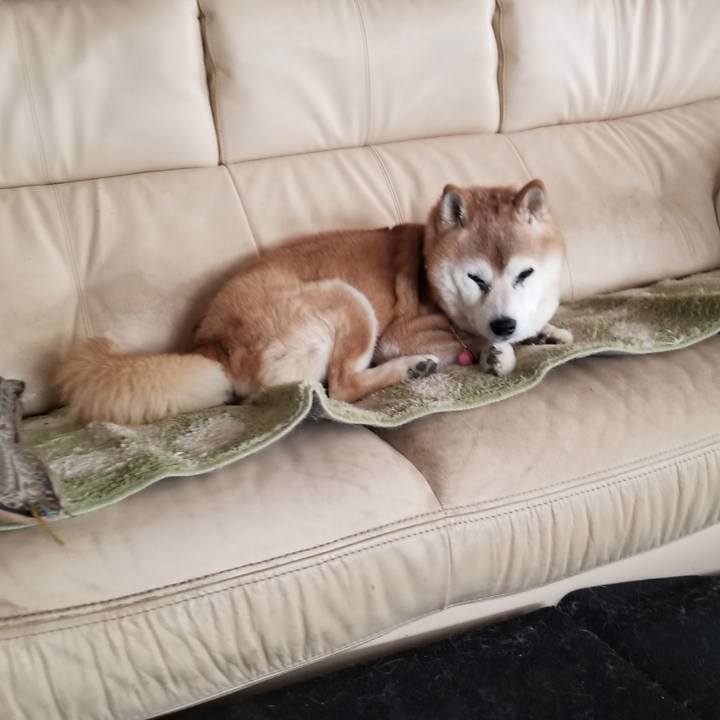 A8730d0c 95f2 4c31 833a cfe8d15b74bc 1768267399529