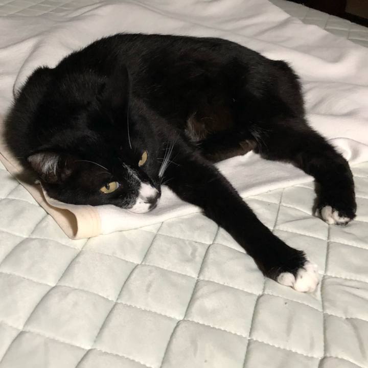 A87316e6 8049 4c5b 99c2 33f64993b583 1659497849038