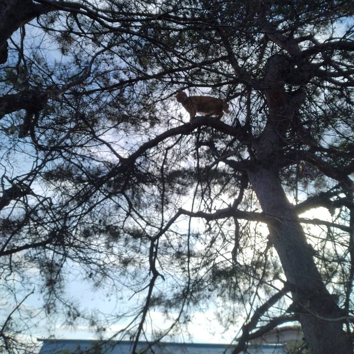 A873651b 665d 4436 8c0c 393810f3f844 1670734393274